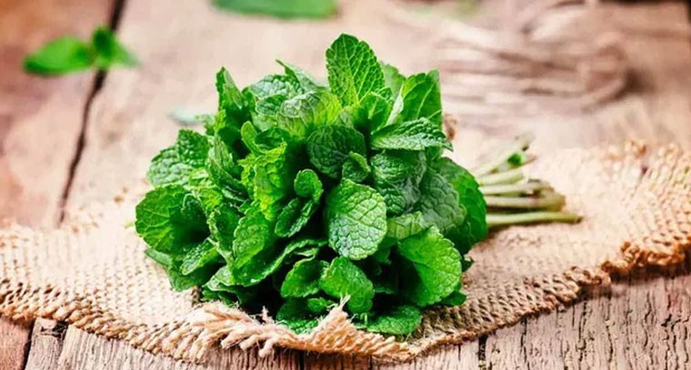 పుదీనా ఆకుతో కలిగే అద్భుత ప్రయోజనాలు ఇవే..!