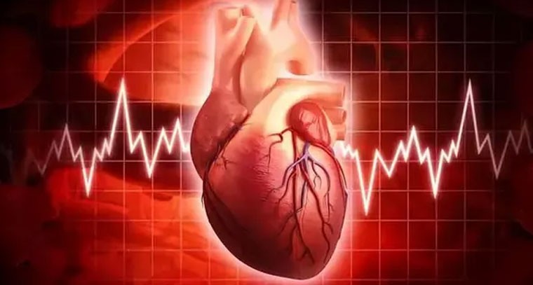 మన గుండె రోజుకు ఎన్నిసార్లు కొట్టుకుంటుందో తెలుసా?