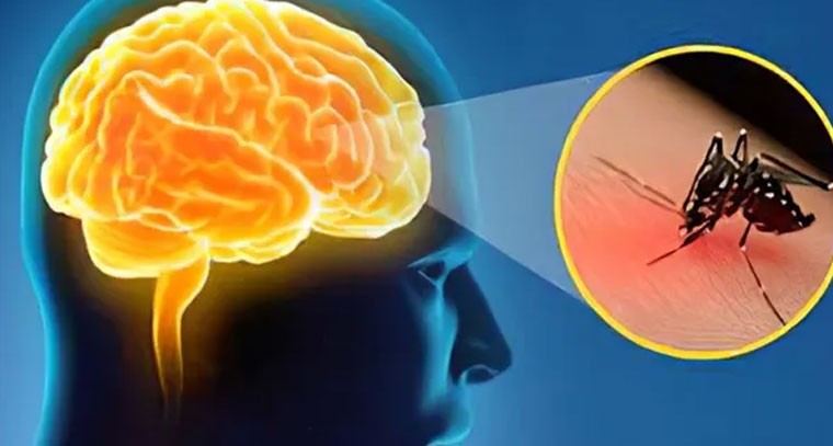 వణుకు పుట్టిస్తున్న ప్రాణాంతక వ్యాధి