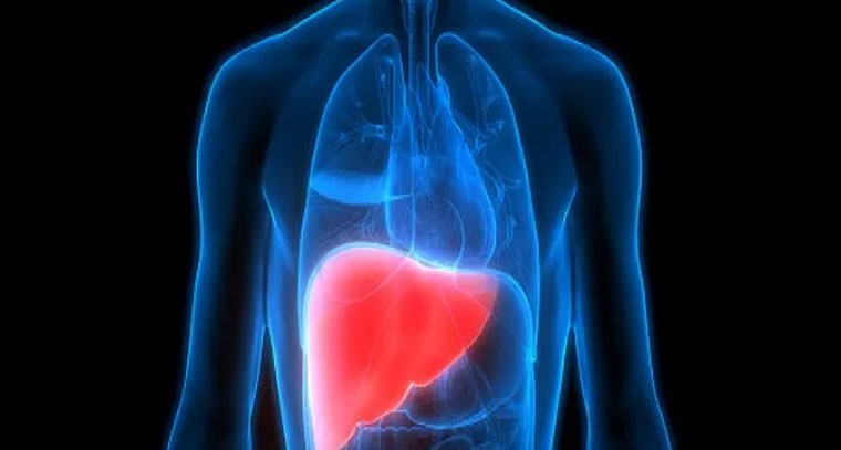 కాలేయానికి హాని చేసే రోజువారీ అలవాట్లివే!