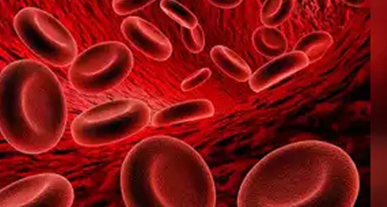 హిమోగ్లోబిన్ లెవల్స్ తొందరగా పెరగాలంటే ?