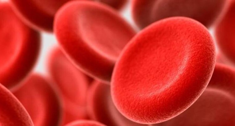 శరీరంలో హిమోగ్లోబిన్‌ తక్కువగా ఉందా ?