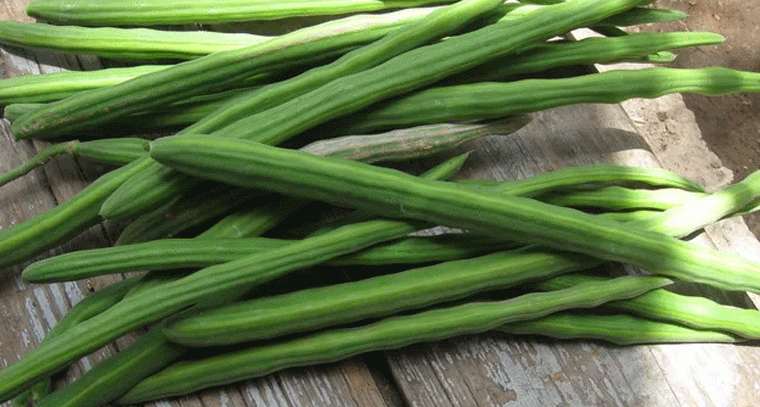 మునగకాయలు ఆరోగ్యానికి మేలే.. కానీ వీరికి మాత్రం ప్రమాదం!