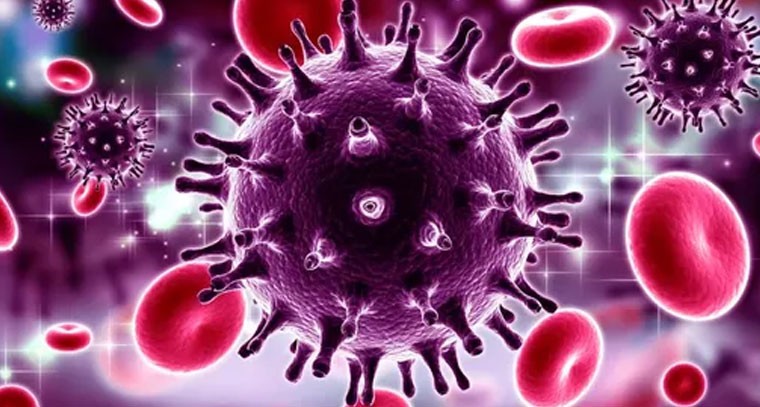 HIV వ్యాక్సిన్.. టీకాలో రకాలు