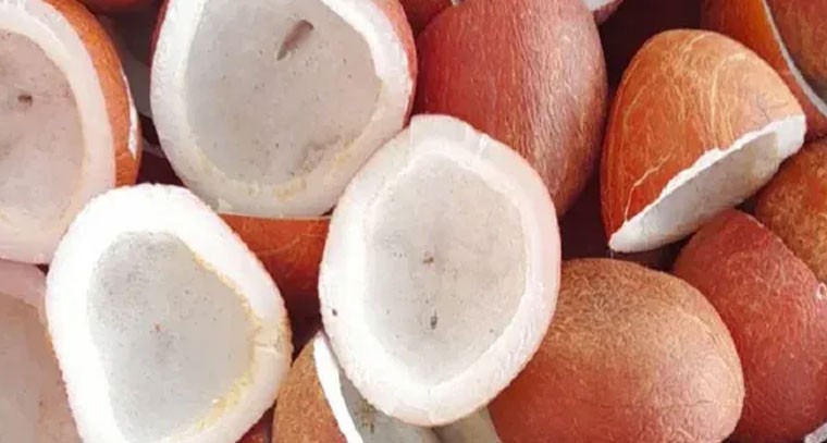 ఎండు కొబ్బరి: ప్రయోజనాలు, ఎవరికి హానికరం?