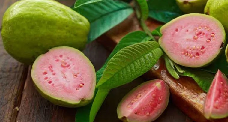 జామకాయతో ఉప్పు కలిపి తింటే కలిగే అద్భుత ప్రయోజనాలు!