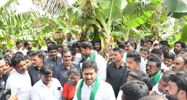 బాబు వల్లే.. ఆగమ్యగోచరంగా రైతుల బతుకులు: జగన్