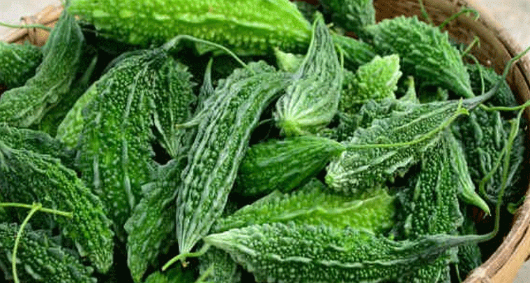 వేసవిలో కాకరకాయతో కలిపి తినకూడని కొన్ని ఆహారాలు