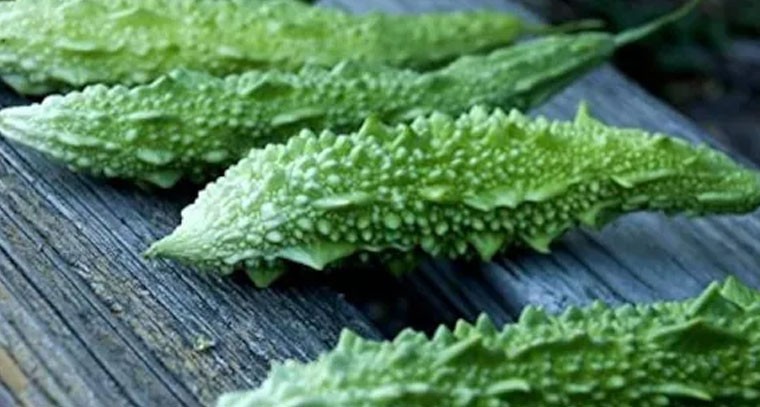 కాకరకాయలో రోగనిరోధక శక్తిని పెంచుతుంది: నిపుణులు