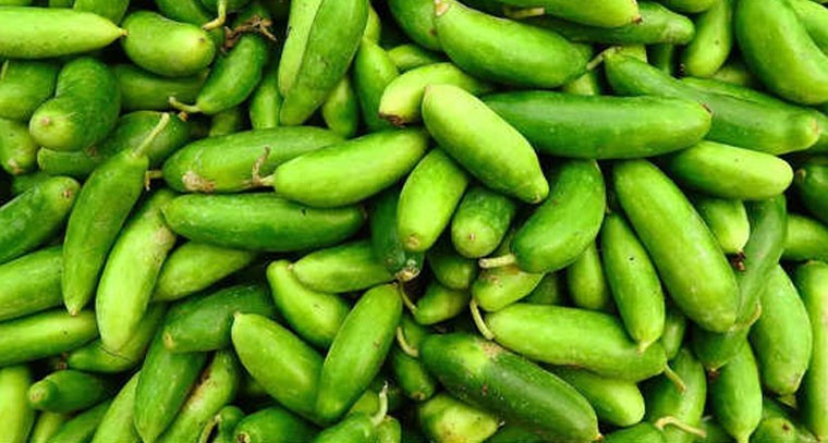 అనేక వ్యాధుల నుండి మనల్ని దూరంగా ఉంచే ఒక కూరగాయ గురించి మీకు తెలుసా ?