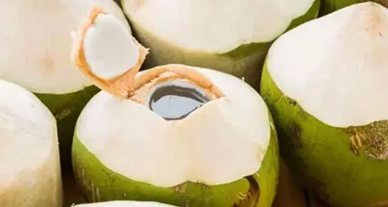 కొబ్బరికాయలో నీరు ఎలా వస్తుంది?.. రహస్యం ఇదే!