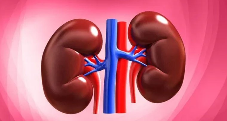 చలికాలంలో కిడ్నీ రాళ్లు.. లక్షణాలు, నివారణ మార్గాలివే!