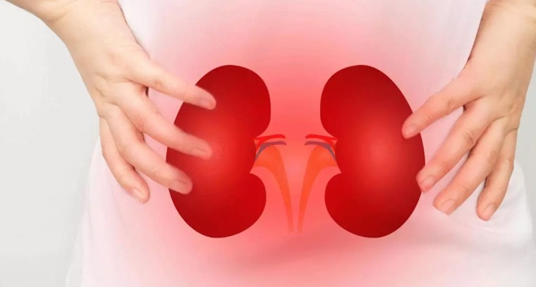 మీ కిడ్నీలు ఆరోగ్యంగా ఉన్నాయనడానికి ఇవే సంకేతాలు