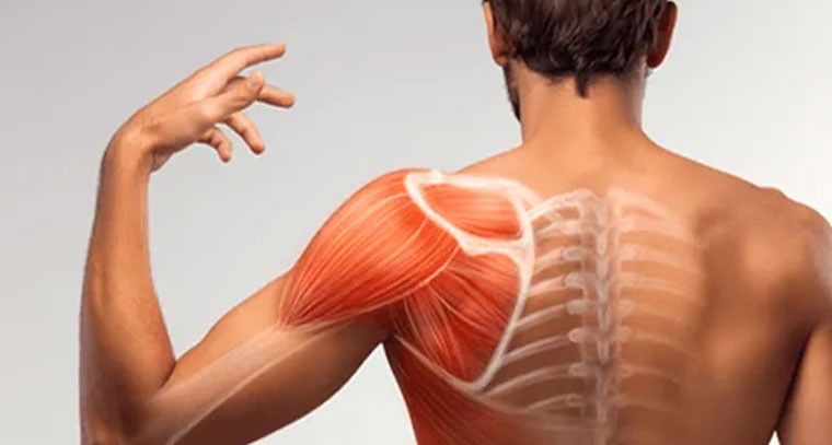 మితిమీరిన వ్యాయామంతో కిడ్నీలకు ముప్పు!