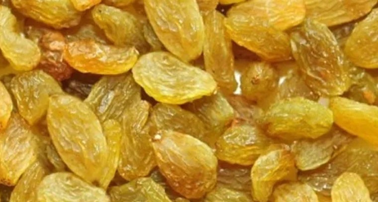 ఈ ద్రాక్షలు ఎన్ని ఆరోగ్య ప్రయోజనాలు ఇస్తాయంటే..