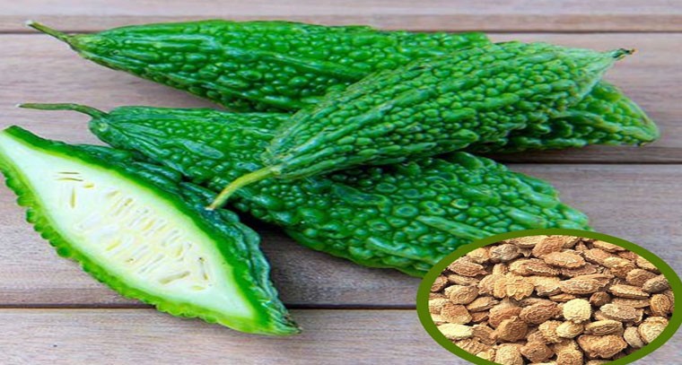  కాకరకాయ గింజలు ప్రయోజనకరంగా ఉంటాయా లేదా హానికరంగా ఉంటాయా  తెలుసుకుందాం.