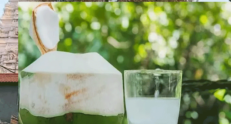 చలికాలంలో కొబ్బరి నీళ్లు తాగుతున్నారా?