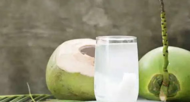  చలికాలంలో కొబ్బరి నీళ్లు తాగొచ్చా..?