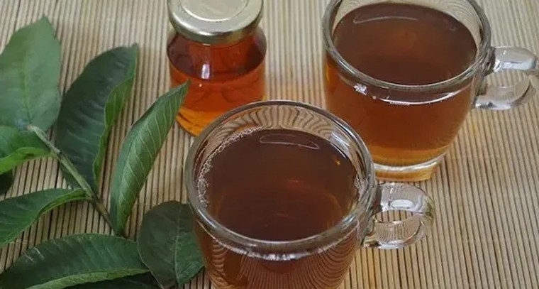 జామ ఆకుల టీ తాగడం వల్ల ఇన్ని ప్రయోజనాలా!