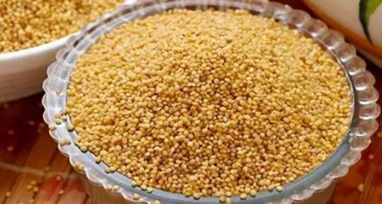 కొర్రలను తింటే షుగర్ త్వరగా పెరగదు