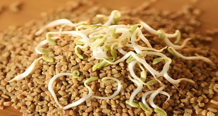 మొలకెత్తిన మెంతులతో చర్మ ఆరోగ్యానికి మేలు: నిపుణులు