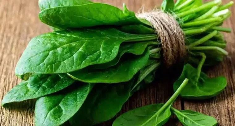 ఆకుకూరలు తాజాగా ఉంచే సింపుల్ చిట్కా!