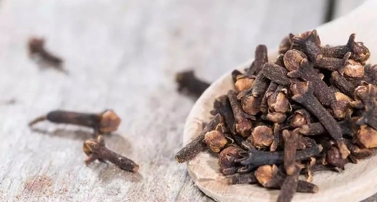 రోజూ ఒక్క లవంగం నమలండి చాలు