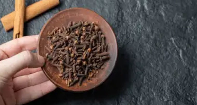 పురుషులు మరియు స్త్రీలకు లవంగాల వల్ల కలిగే 5 లైంగిక ఆరోగ్య ప్రయోజనాలు