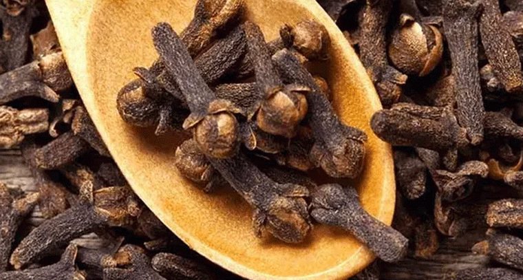 రాత్రి లవంగం తింటే.. అద్భుత ఆరోగ్య ప్రయోజనాలు!