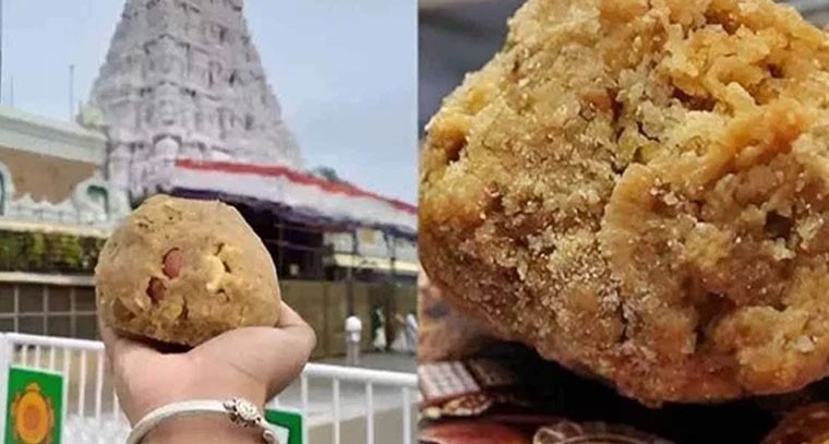 తిరుమల లడ్డూ ప్రసాదం తయారీకి నెయ్యి కొరత లేదు: టీటీడీ