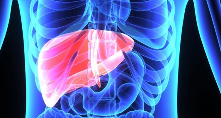 లివర్ వ్యాధి రాకుండా ఈ జాగ్రత్తలు పాటించండి!