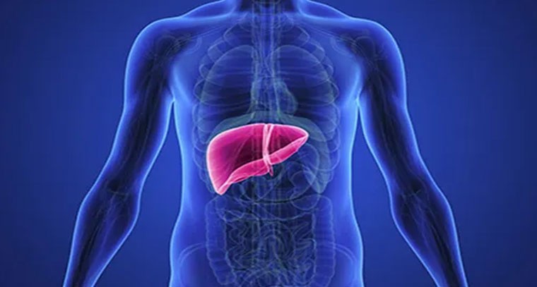 కాలేయాన్ని దెబ్బతీసే ఆహారాలు: నిపుణుల హెచ్చరిక