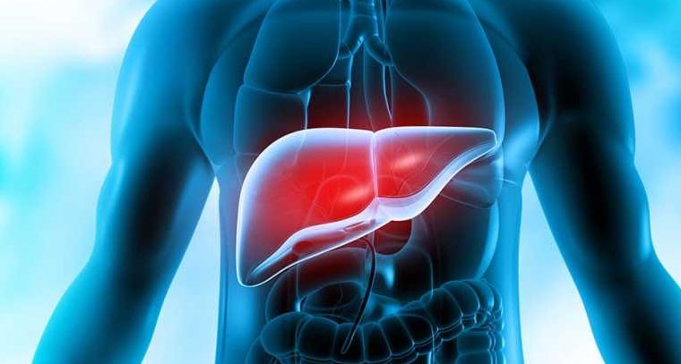 లివర్ డ్యామేజ్ అవ్వకూడదంటే ఇవి ఖచ్చితంగా తినాలి