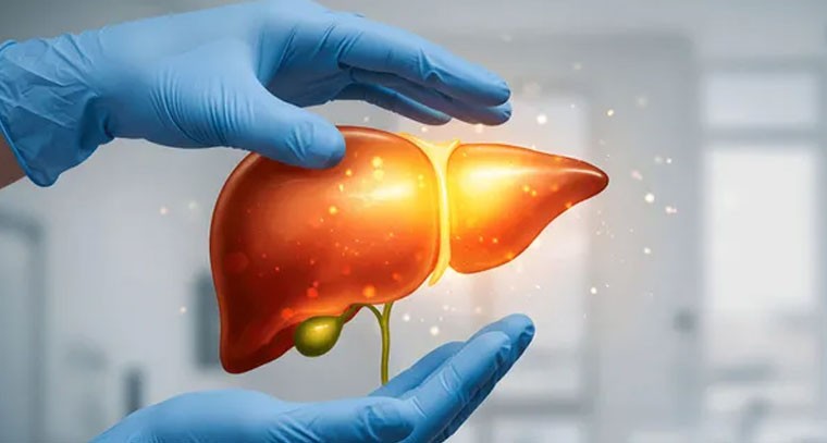 ఆధునిక జీవనశైలితో పెరుగుతున్న ఫ్యాటీ లివర్ ప్రమాదం