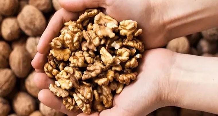 వాల్‌నట్స్ తో మెదడు ఆరోగ్యానికి ఎంతో మేలు: నిపుణులు