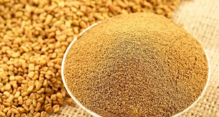 షుగర్, కొలెస్ట్రాల్‌ను అదుపుచేసే మెంతుల పొడి!