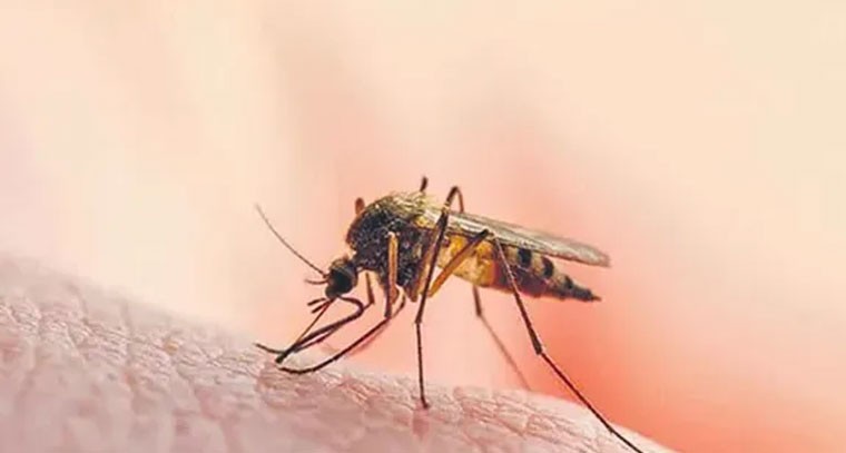 మలేరియాకు కొత్త టీకా!