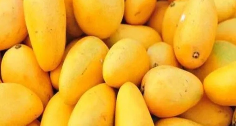 మామిడి పండును తినే ముందు నీటిలో ఎందుకు నానబెట్టాలి..?