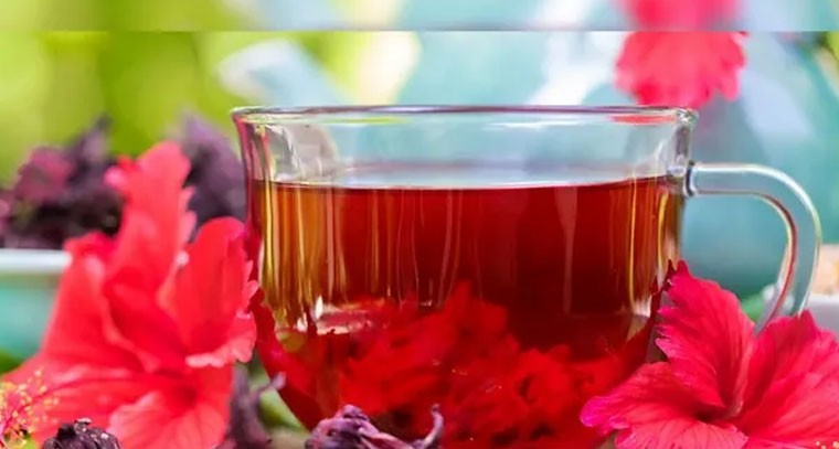 మందార పూల టీ తో డయాబెటిస్, బీపీ కంట్రోల్: నిపుణులు