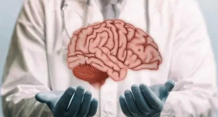 మెదడు నరాల బలహీనత.. ఈ లక్షణాలున్నాయా!