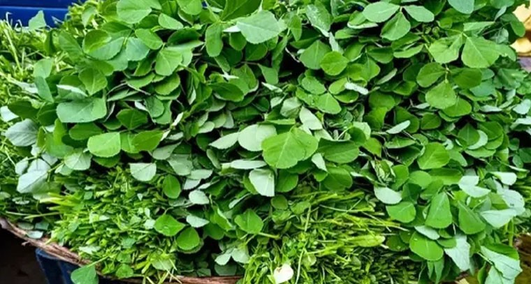 మెంతికూర తింటే కంటి సమస్యలకు మేలు: నిపుణులు