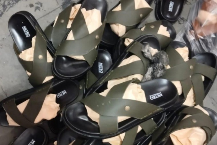 ఐపీఆర్ ఉల్లంఘనలపై  మెట్రో బ్రాండ్స్ చర్యలు... 