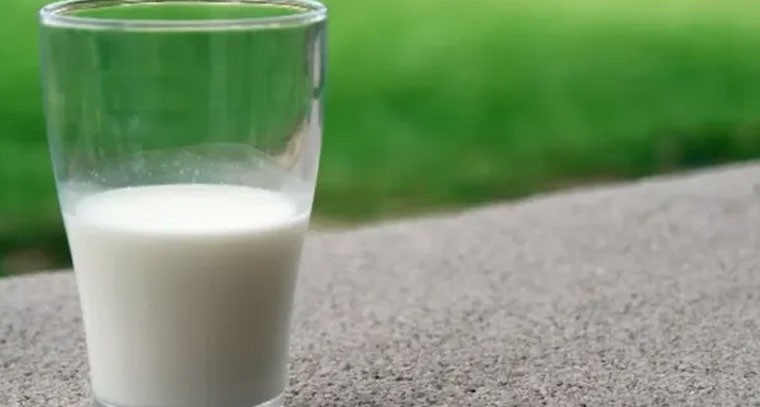 పాలలో కల్తీ: ఇంట్లోనే గుర్తించే సులభమైన పరీక్షలు!