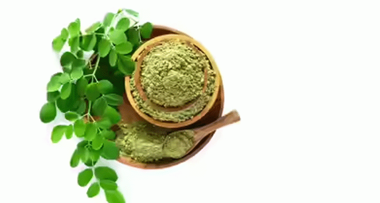 రోజుకి ఒక చెంచా మునగాకు పొడి: ఆయుష్షు పెరిగే మార్గం!
