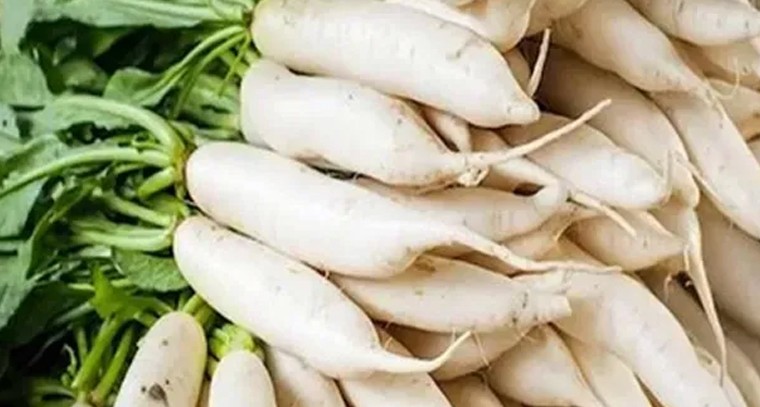 ముల్లంగిని తినడం వల్ల రక్తపోటుకు చెక్: నిపుణులు