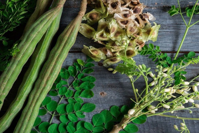 మునగ చెట్టు వల్ల ఎన్ని ప్రయోజనాలు ఉన్నాయో తెలుసా....?