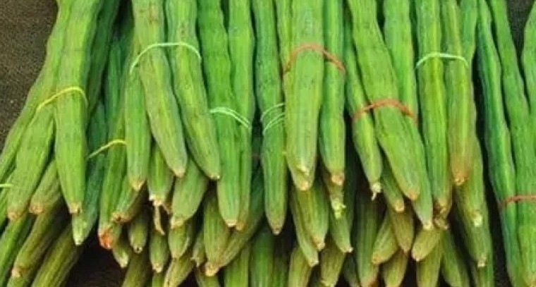 మునగకాయతో ఇన్ని ప్రయోజనాలా !