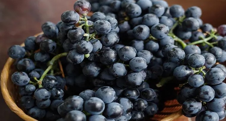 నల్లద్రాక్షతో గుండె జబ్బులు దూరం