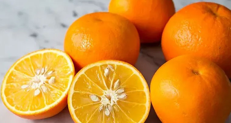 నారింజ విత్తనాలతో దీర్ఘకాలిక వ్యాధులకు చెక్: నిపుణులు