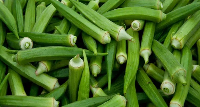 బెండకాయలతో గుండె ఆరోగ్యానికి మేలు: నిపుణులు